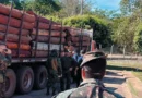 Operação Timber Shield: Brasil, EUA e Bolívia interceptam uma das maiores cargas de cocaína da história