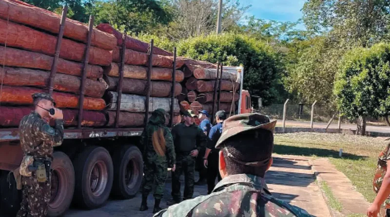 Operação Timber Shield: Brasil, EUA e Bolívia interceptam uma das maiores cargas de cocaína da história