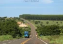Expansão da celulose acelera projeto de concessão da MS-240