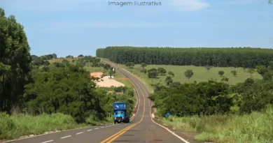 Expansão da celulose acelera projeto de concessão da MS-240