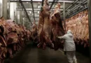 Carne pantaneira pode ganhar passaporte para mercado europeu com visita de instituto alemão