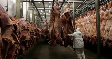 Carne pantaneira pode ganhar passaporte para mercado europeu com visita de instituto alemão