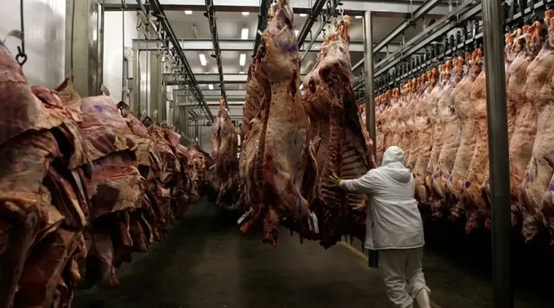 Carne pantaneira pode ganhar passaporte para mercado europeu com visita de instituto alemão