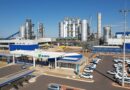 Suzano abre 23 vagas para formação de jovens no setor industrial em Ribas do Rio Pardo (MS)