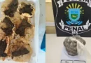 Panqueca “recheada” rende prisão de visitante em Três Lagoas