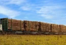 Governo autoriza circulação de “hexatrens” em rodovias de Ribas do Rio Pardo e Três Lagoas