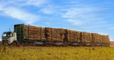 Governo autoriza circulação de “hexatrens” em rodovias de Ribas do Rio Pardo e Três Lagoas